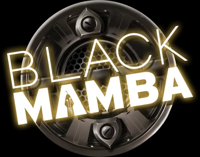 Black Mamba logo